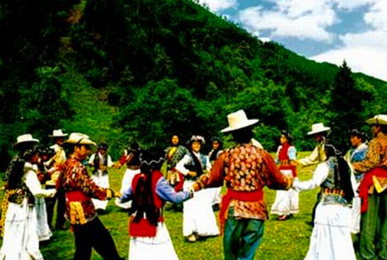 昆明無處不飛花 昆明 跑馬節(jié) 昆明無處不飛花 昆明 跑馬節(jié)