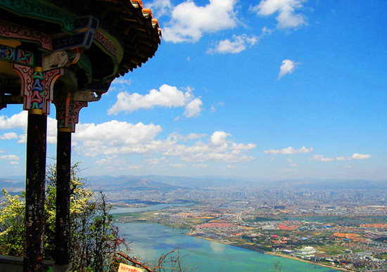 春城無處不飛花 昆明之美 春城無處不飛花 昆明之美