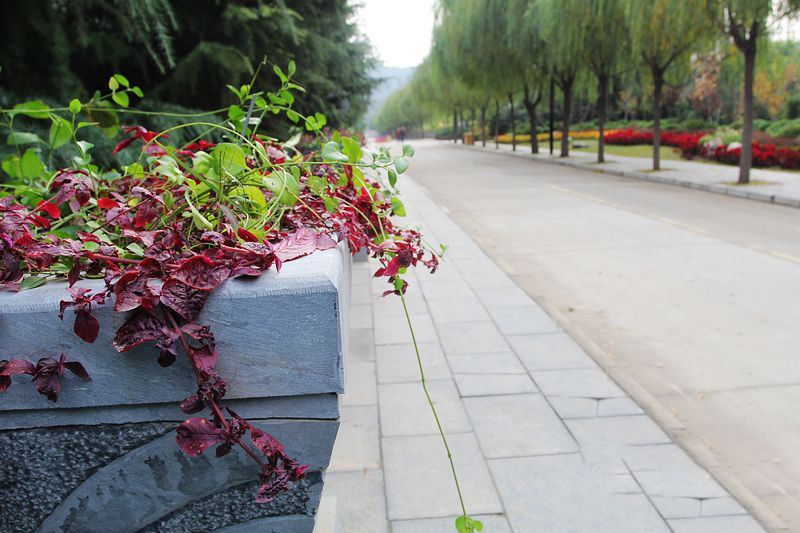 初冬旅游正此時 騎行走進黃河風(fēng)景名勝區(qū)
