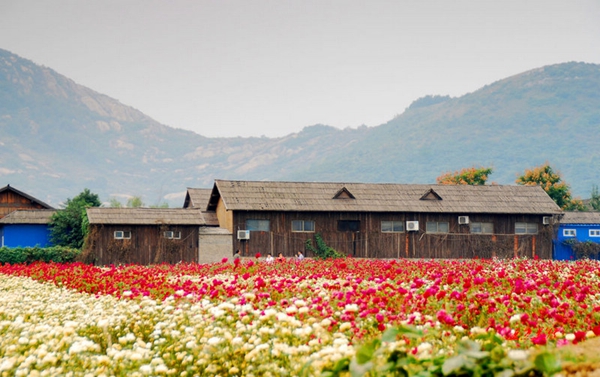 別樣蜜月，河南最適宜新婚度假的景區(qū)