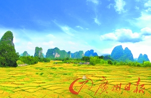 美食節(jié)品千雞宴 森林盛會(huì)秀才藝贏獎(jiǎng)品 美食節(jié)品千雞宴 森林盛會(huì)秀才藝贏獎(jiǎng)品