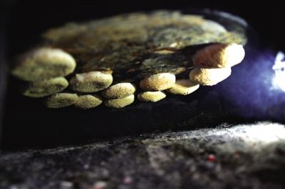 吊爐燒餅是黃驊最典型的面食之一，這種手藝在一些老院子里已經(jīng)傳承了上百年時間。