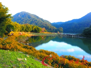 初冬的石門森林公園色彩絢爛。
