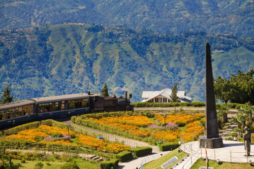 走進印度大吉嶺 品極品紅茶馳騁云端 走進印度大吉嶺 品極品紅茶馳騁云端