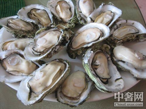 北半球好蠔不止法國(guó) 美加鮮味更足