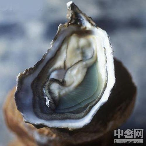 北半球好蠔不止法國(guó) 美加鮮味更足