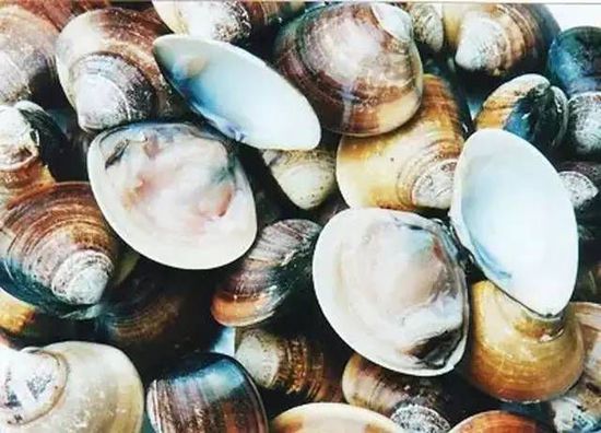 秋季最適合吃的海鮮是這10種 你吃對(duì)了嗎？