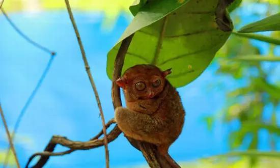 適合在冬天旅游的十個絕美海島！