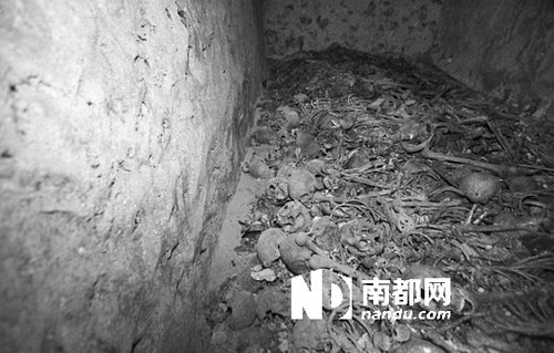 　5月29日，在以色列特拉維夫市雅法地區(qū)，一處集體墳?zāi)贡话l(fā)現(xiàn)。