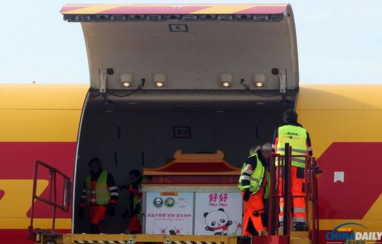 大熊貓“好好”抵達(dá)布魯薩爾國(guó)際機(jī)場(chǎng)。記者 付敬 攝