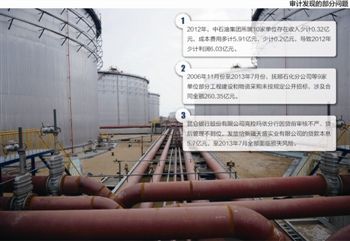 審計(jì)發(fā)現(xiàn)的部分問題 審計(jì)發(fā)現(xiàn)的部分問題