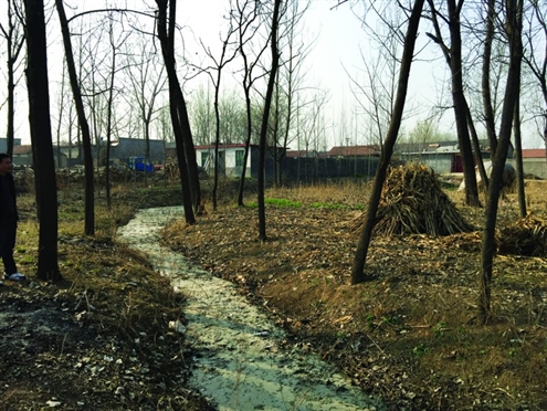 486臺兒莊戰(zhàn)役將士埋骨荒野 紀念設施或年內落成 486臺兒莊戰(zhàn)役將士埋骨荒野 紀念設施或年內落成