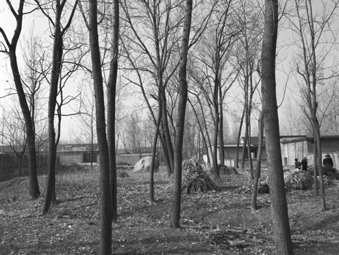 486臺兒莊戰(zhàn)役將士埋骨荒野 紀念設施或年內落成 486臺兒莊戰(zhàn)役將士埋骨荒野 紀念設施或年內落成