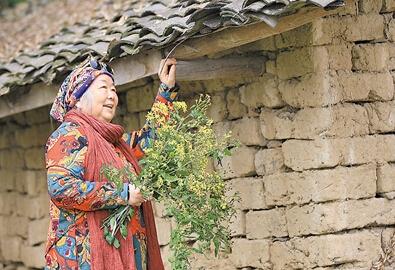 公式“時尚奶奶”的賞花照，收獲了好多人的點贊。 受訪者供圖