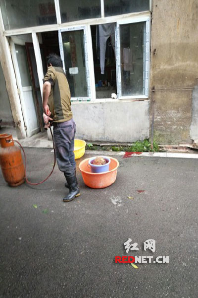 5月8日，男子在校園里殺狗，地上殘留一塊血跡。目擊者供圖。