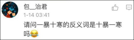 鶴立雞群？雞立鶴群！