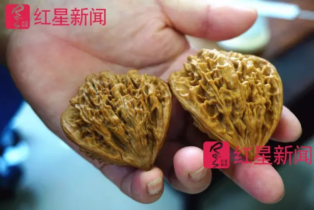 文玩核桃遇冷由幾萬一對降到5元沒人要？商戶否認(rèn)