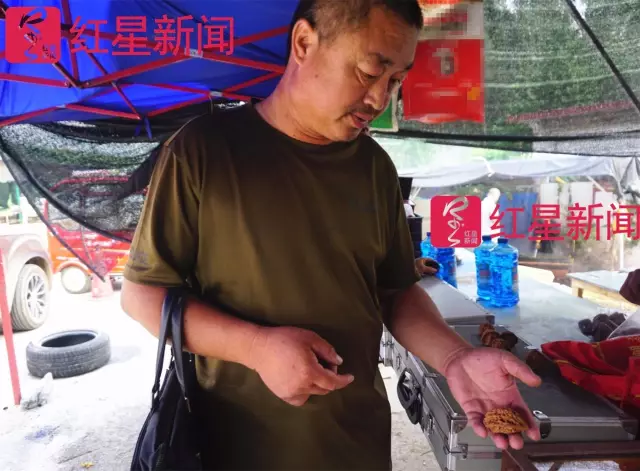 文玩核桃遇冷由幾萬一對降到5元沒人要？商戶否認(rèn)