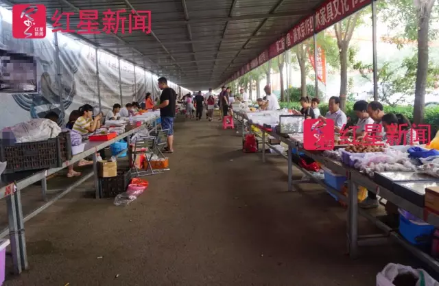 文玩核桃遇冷由幾萬一對降到5元沒人要？商戶否認(rèn)