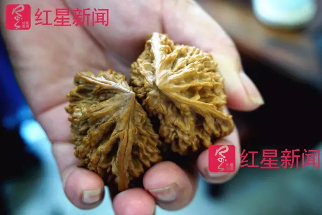 文玩核桃遇冷由幾萬一對降到5元沒人要？商戶否認(rèn)