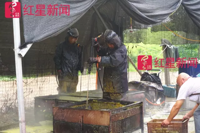 文玩核桃遇冷由幾萬一對降到5元沒人要？商戶否認(rèn)