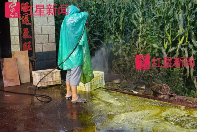 文玩核桃遇冷由幾萬一對降到5元沒人要？商戶否認(rèn)