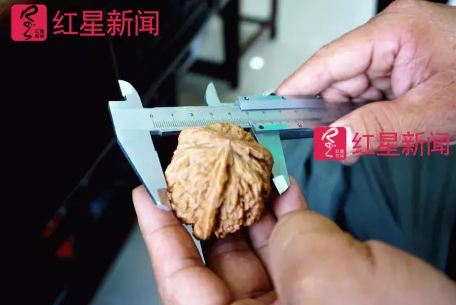 文玩核桃遇冷由幾萬一對降到5元沒人要？商戶否認(rèn)