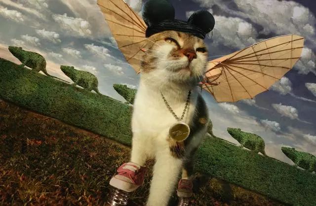 一只虛擬寵物貓叫價13億元？云養(yǎng)貓成真