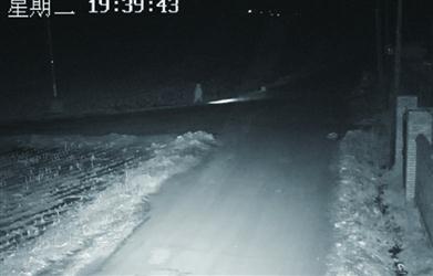 10歲男孩一個(gè)人打著手電走在鄉(xiāng)間公路上。 警方供圖