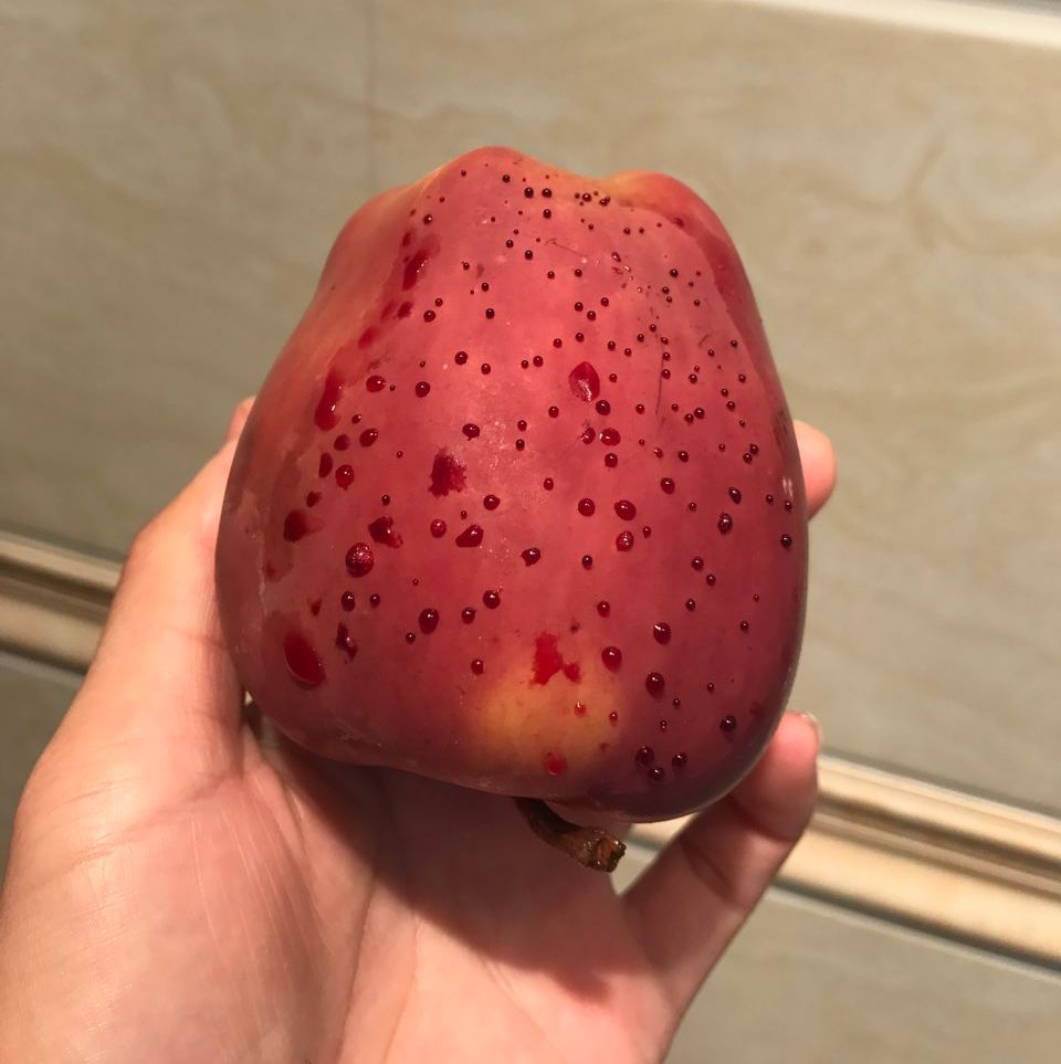 嚇懵！女子用熱水泡蘋果結(jié)果冒出血珠 咋回事？