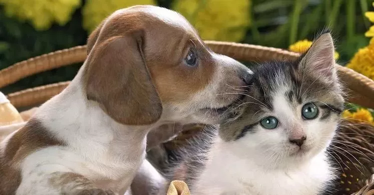 可憐！12歲女孩右眼完全失明 只因平時(shí)有這愛好