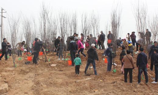 植樹活動(dòng)開始將一棵棵綠色愛(ài)心深埋泥土