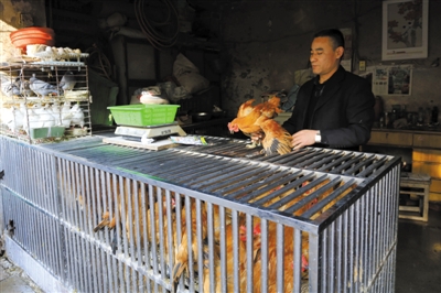 南京另一家農(nóng)貿(mào)市場(chǎng)內(nèi)待售的活雞。因南京出現(xiàn)H7N9禽流病例，買活雞的顧客減少。