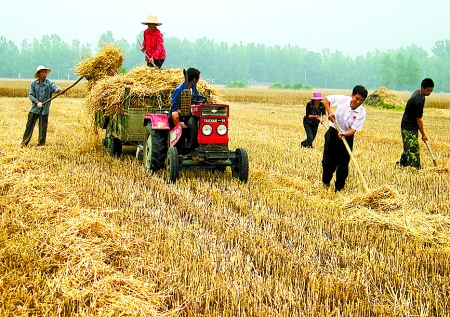 6月1日，舞鋼市礦建街道張我莊村幫扶隊員在幫村民收秸稈。