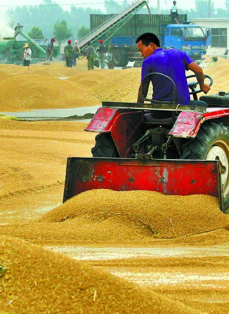 精心晾曬，散倉(cāng)入庫(kù)。