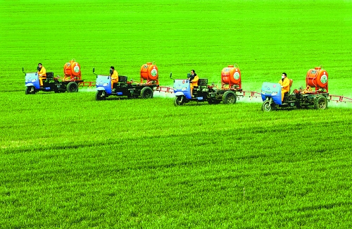 車載噴霧機奔駛在萬畝高產(chǎn)田里。