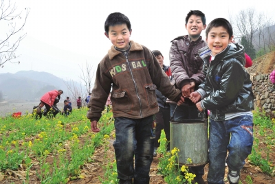 抬水澆樹(shù)傳友情