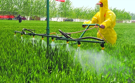 河南省扶溝縣韭園鎮(zhèn)農民在示范基地內進行麥田施肥作業(yè)