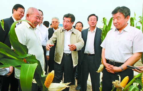 圖為回良玉在鄧州市腰店鄉(xiāng)草寺村視察萬畝玉米高產(chǎn)示范方。