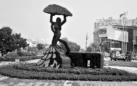 8月28日，南陽街頭繁花似錦，市民宛若行走在花海之中。