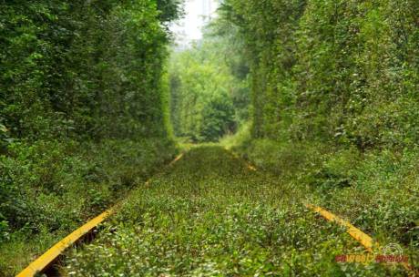 西安現(xiàn)“小清新”鐵路 西安現(xiàn)“小清新”鐵路