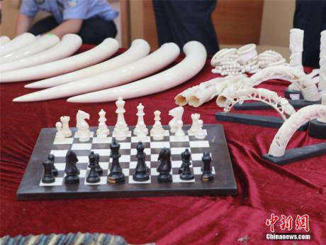寧波海關(guān)查獲走私珍貴動(dòng)物制品