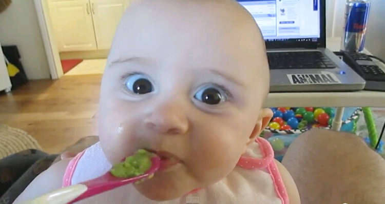外國寶寶初嘗鱷梨表情萌翻網(wǎng)友 外國寶寶初嘗鱷梨表情萌翻網(wǎng)友