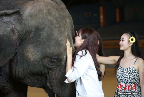 學(xué)生參加?；ㄐ２荽筚?穿比基尼秀身材