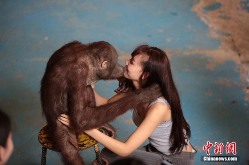 學(xué)生參加?；ㄐ２荽筚?穿比基尼秀身材