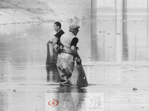 競(jìng)相撈魚(yú)的人們