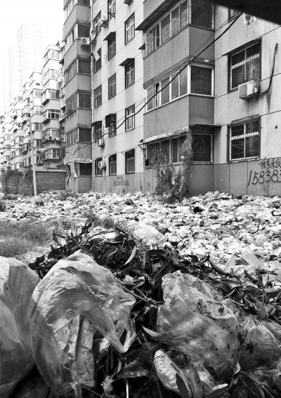 透過擋板縫向內(nèi)看，30多米垃圾已經(jīng)將居民樓包圍。