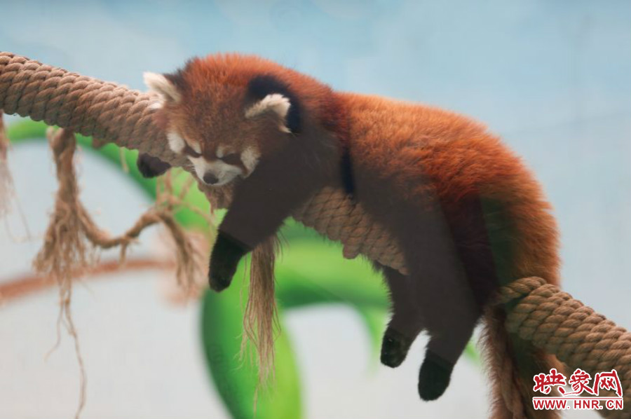 “休息，休息一下?！? width=