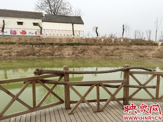 護欄損毀的地方，已經(jīng)被兩根樹干擋住。