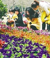 近距離才能拍得更真切。